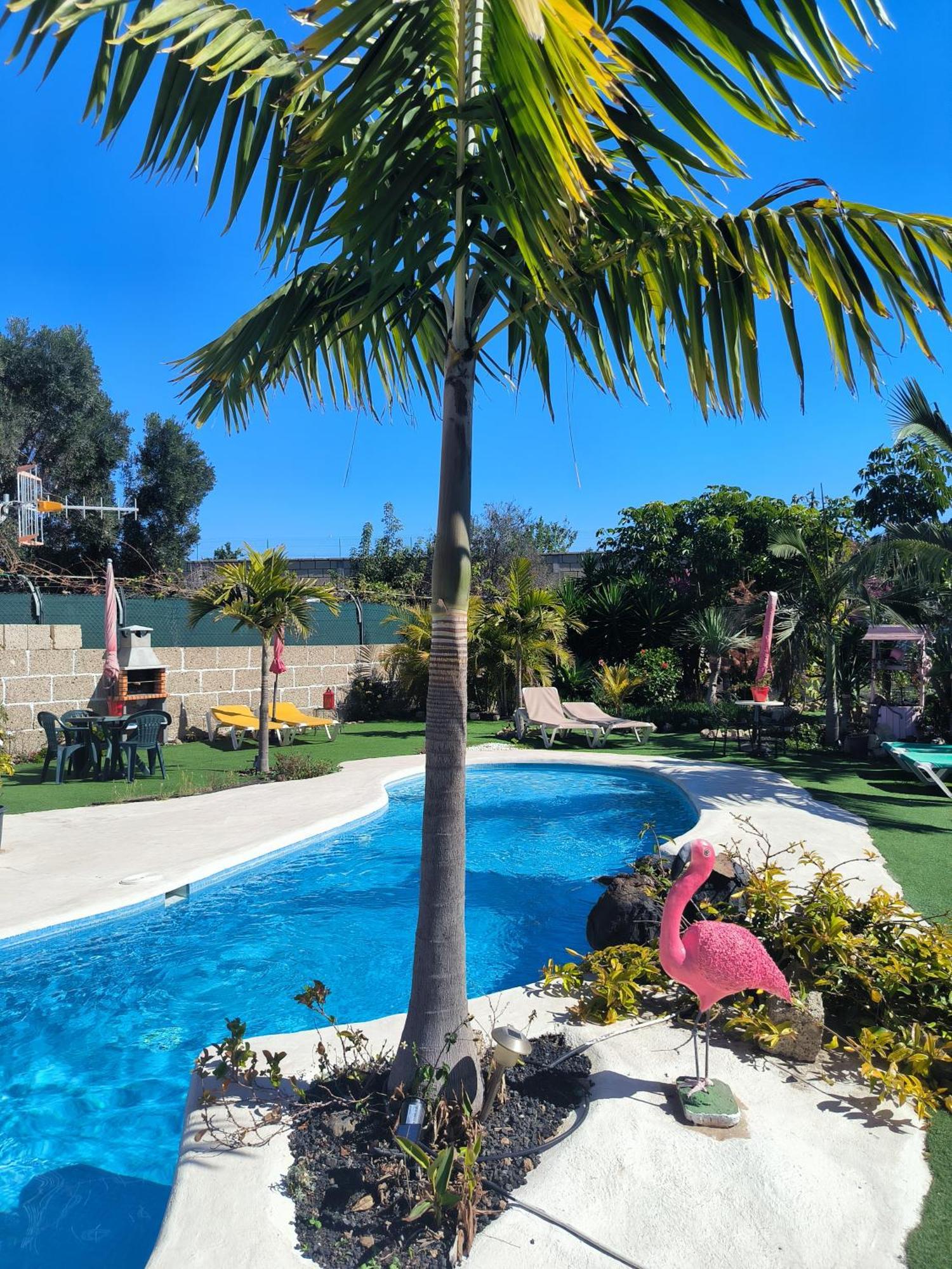 Villa Daita 2 Villa Daita 3 Гранадиля де Абона Екстериор снимка